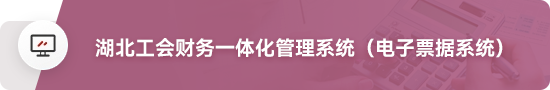 湖北工會財(cái)務(wù)一體化管理系統(tǒng)